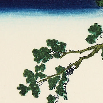 甲州三島越