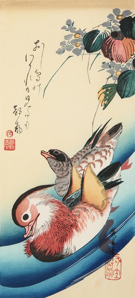 広重花鳥風月 池中おし鳥