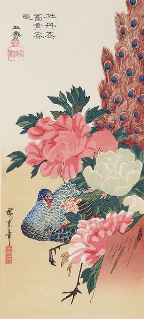 牡丹に孔雀