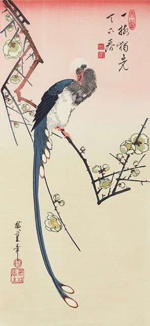 梅に三光鳥