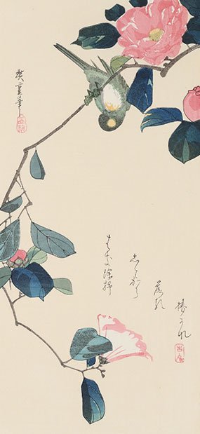椿にしじゅうから