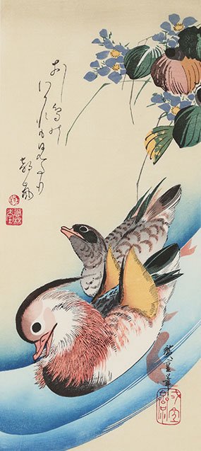 池中おし鳥