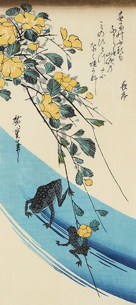 山吹に蛙
