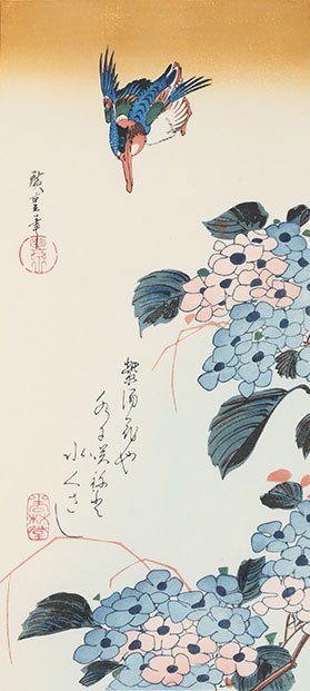 紫陽花にかわせみ