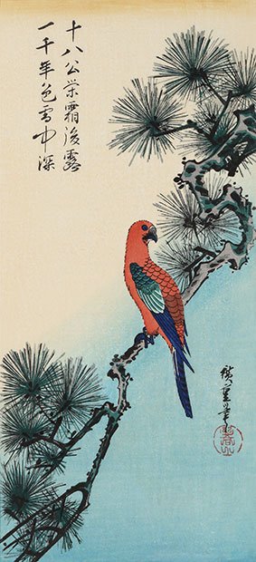 松にいんこ