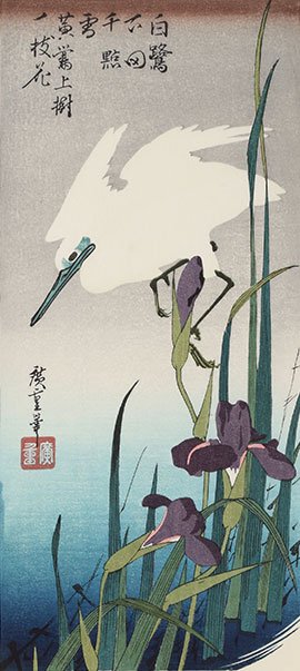 花菖蒲に白鷺