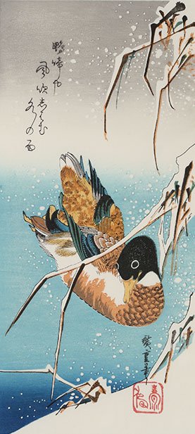 雪中芦に鴨