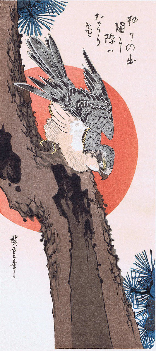 広重花鳥風月  松に鷹